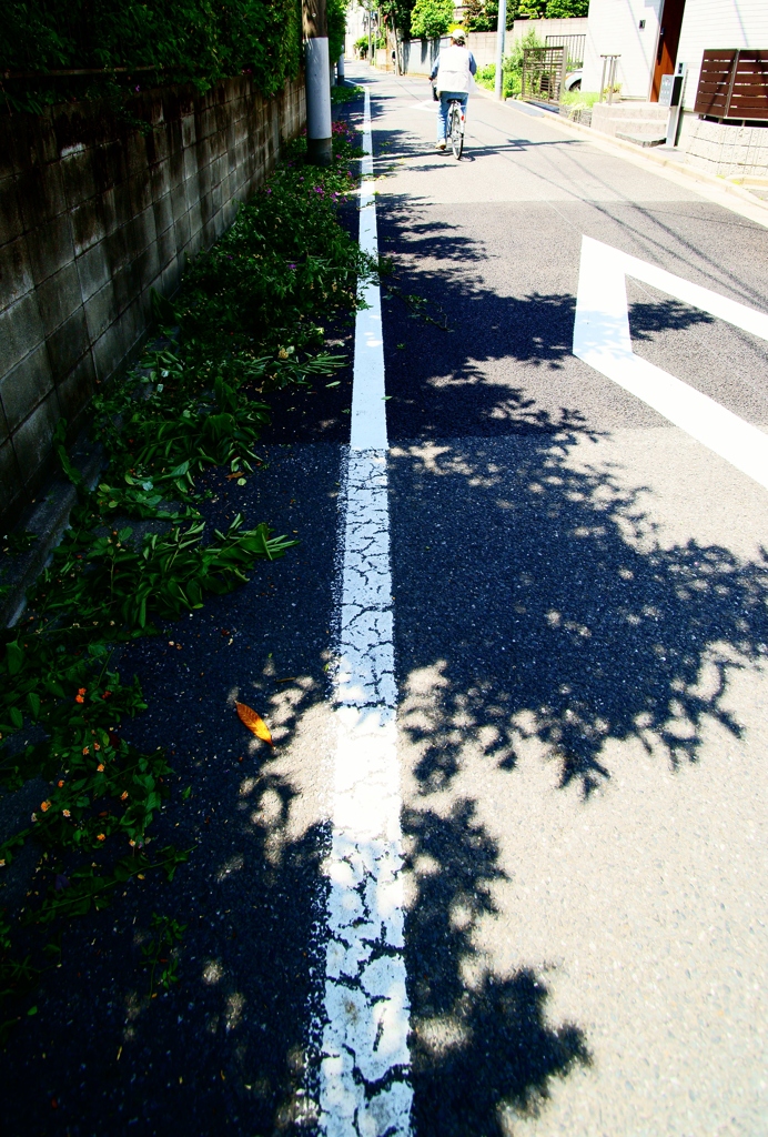 伐採