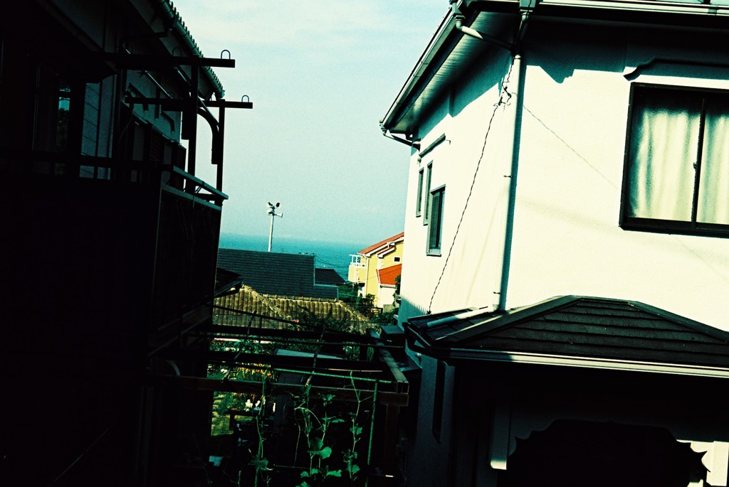 感傷旅行 Sentimental Journey