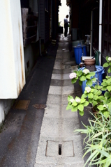 路地裏から