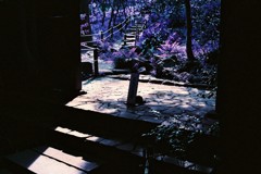 多摩川snap Lomography Lomochrome Purple XR