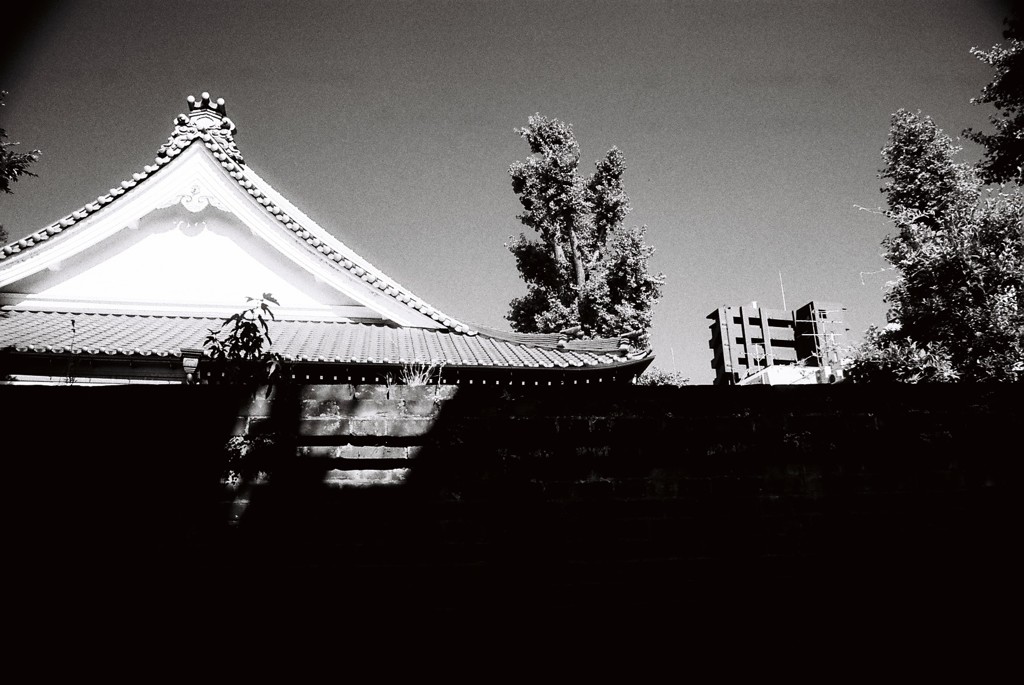 光と影 Light and Shadow