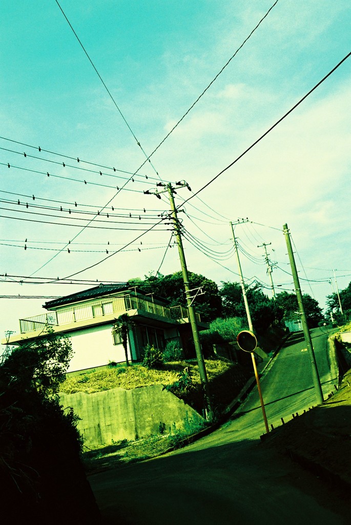 感傷旅行 Sentimental Journey