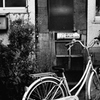 自転車