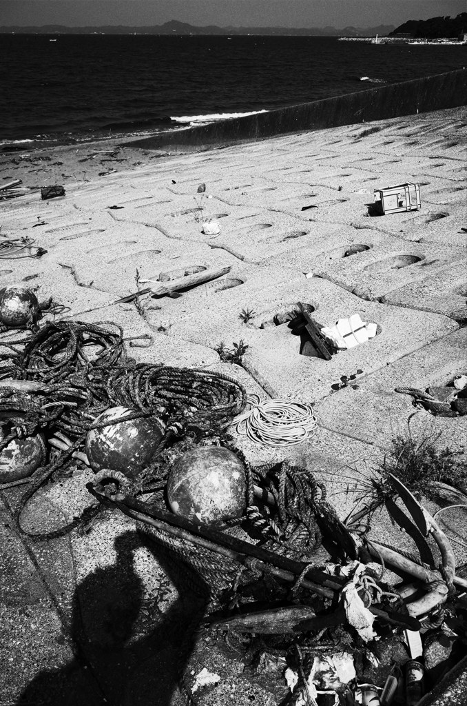 海の遺物