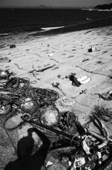 海の遺物