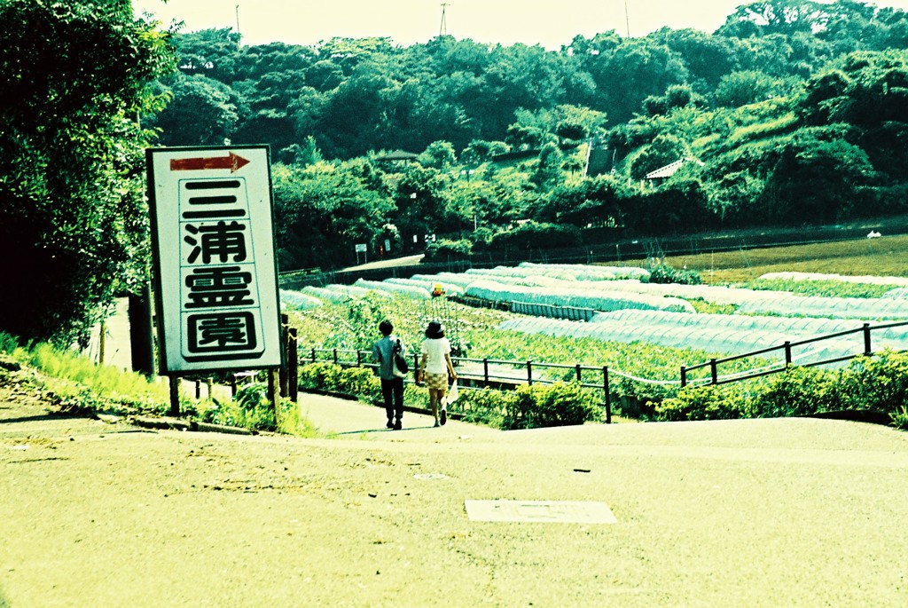 感傷旅行 Sentimental Journey