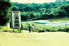 感傷旅行 Sentimental Journey