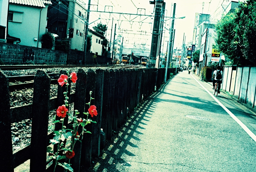 東京snap