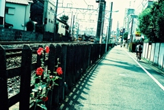 東京snap