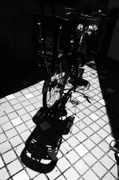 モノクローム