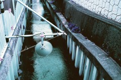 多摩川snap Lomography Lomochrome Purple XR