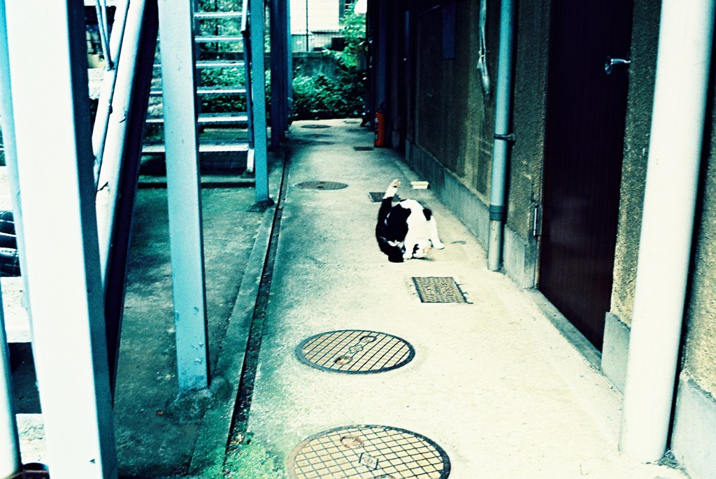 東京snap