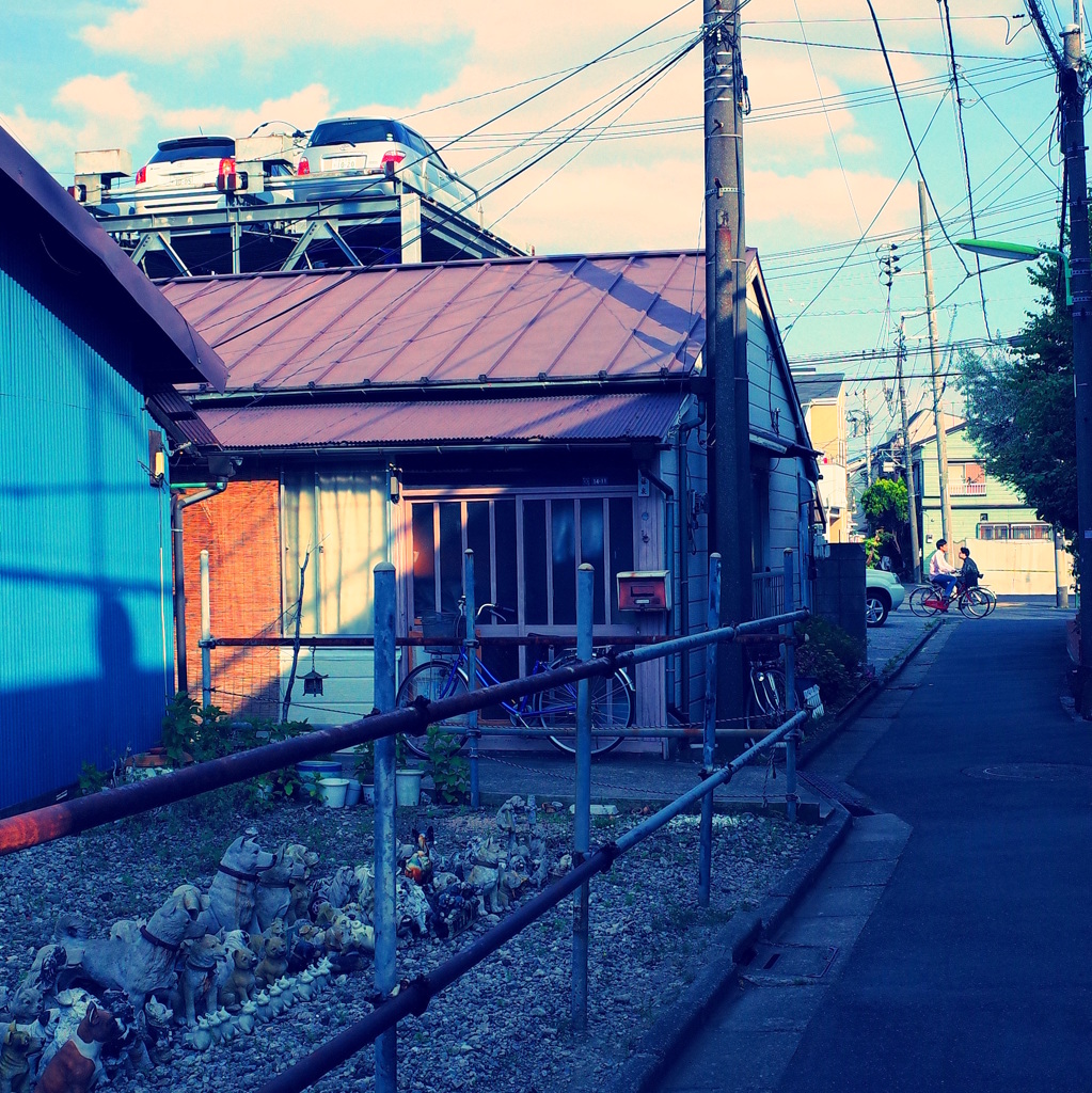 カラー