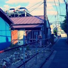 カラー