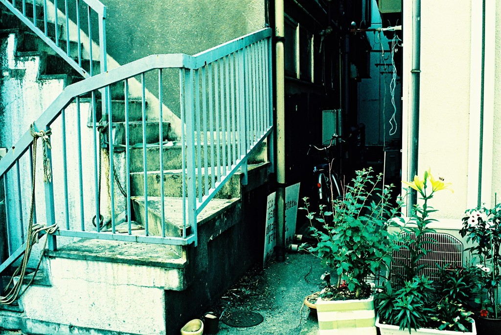 東京snap