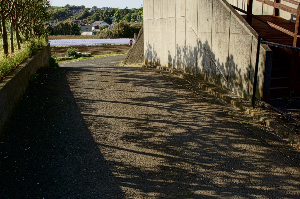 三浦海岸snap