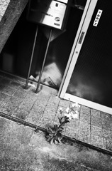 モノクローム