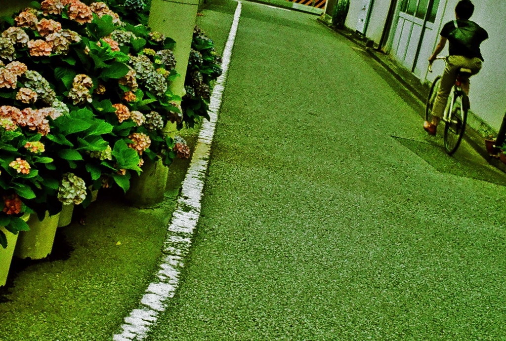 城南snap