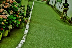 城南snap
