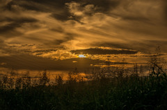 夕景