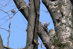 えなが♂♀