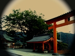 神社の境内