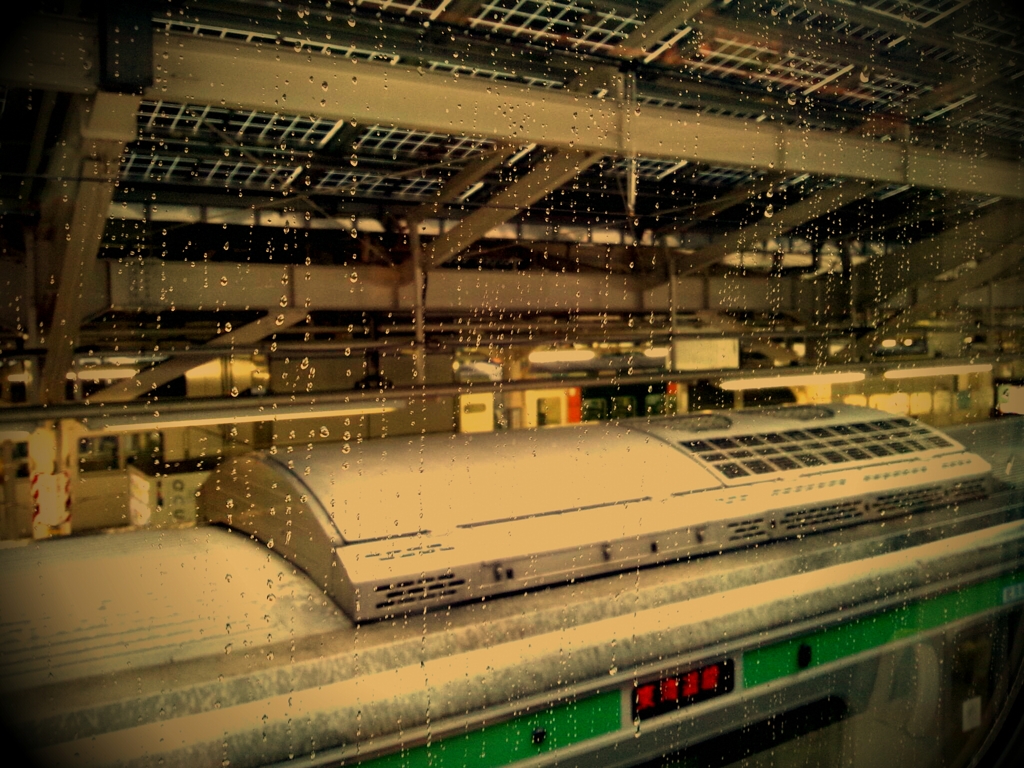 雨が降ってきた。
