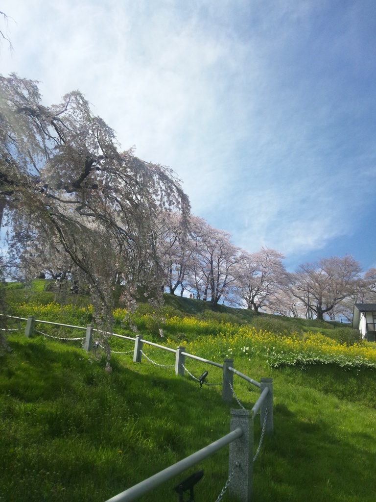 春の公園