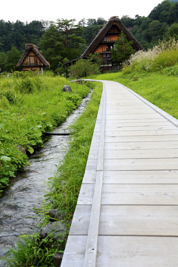 歩きたくなる道