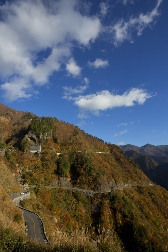 白山『ホワイトロード』