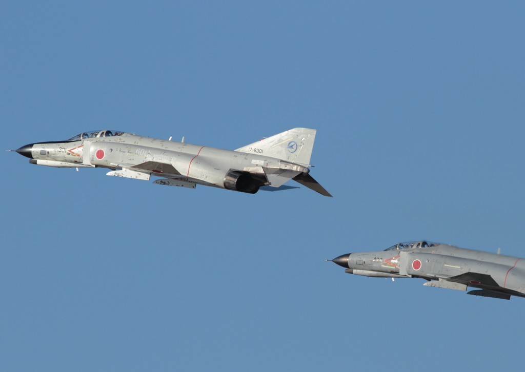 ADTW F-4EJ Special Marking