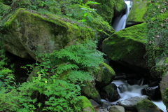 沢涼み。