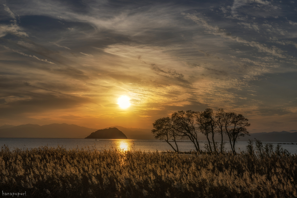 夕日に照らされて