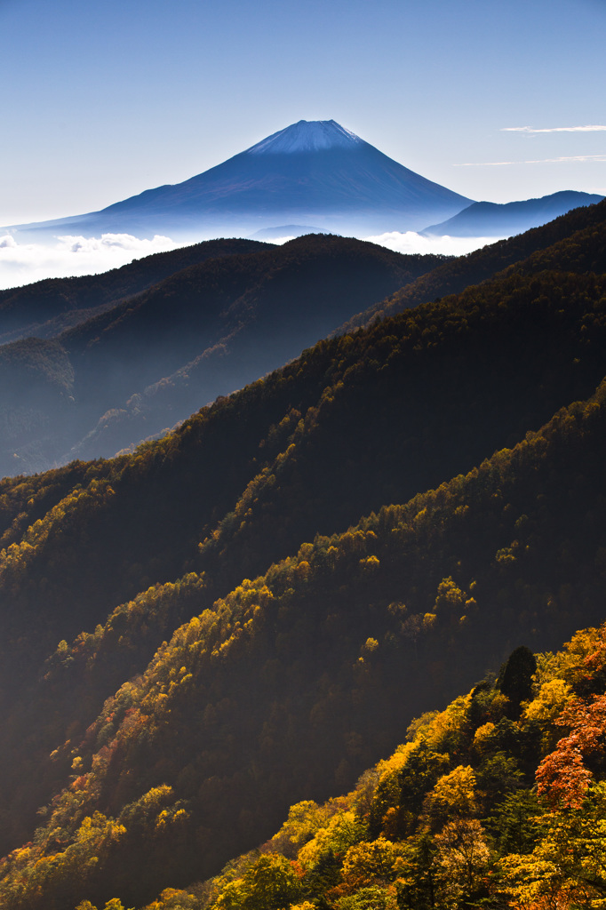 紅葉と富士