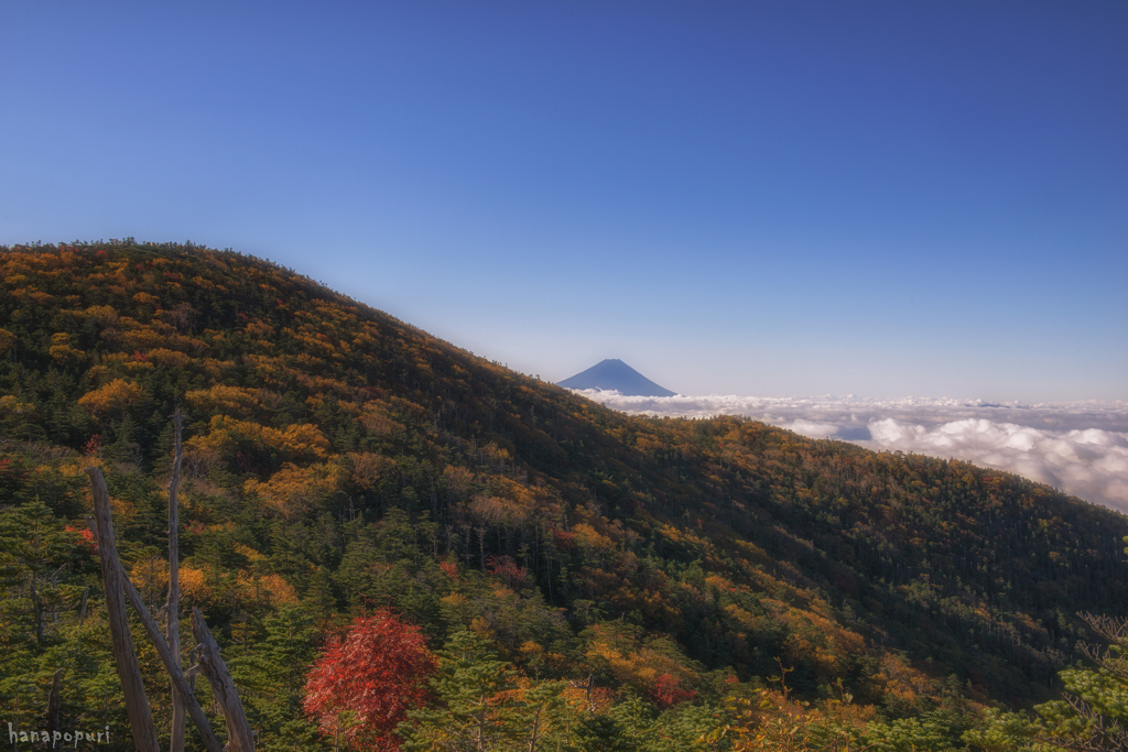 紅葉の向こうに