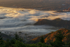 朝日に照らされて