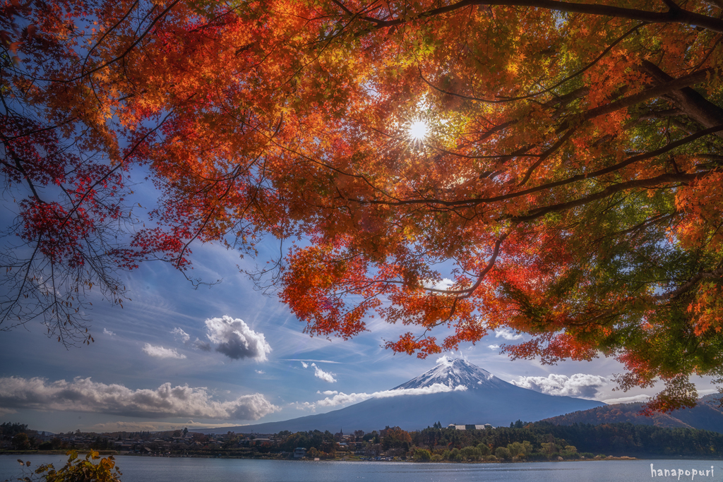 紅葉と富士山