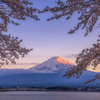 富士と桜