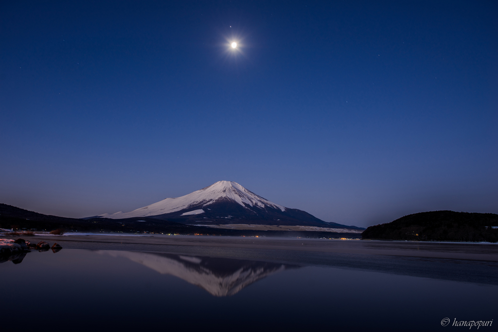 月明かりに照らされて