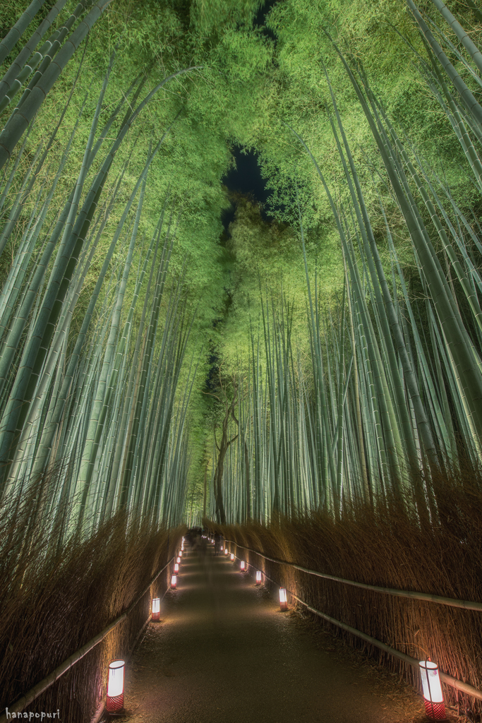 竹林の小径