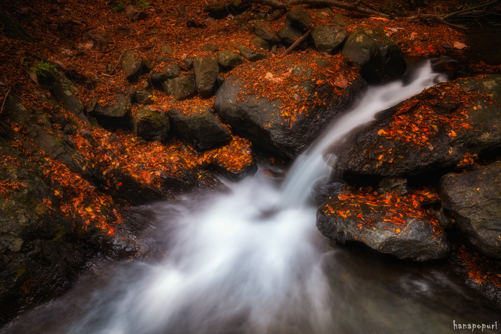 Autumn End