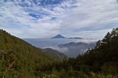 池茶の午後