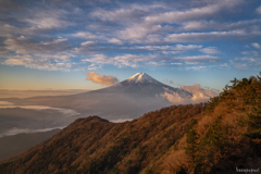 紅葉と富士