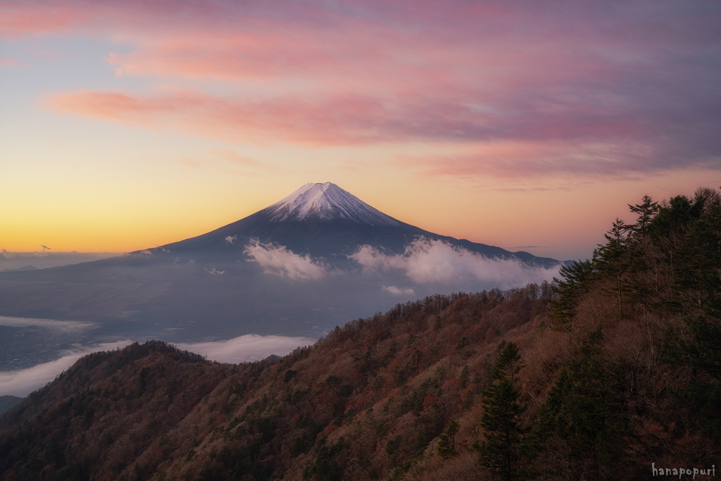 朝焼けと富士
