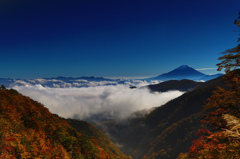 雲海と紅葉と富士