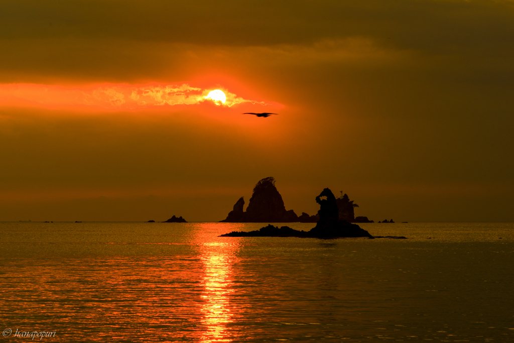 大田子海岸 【夕日】