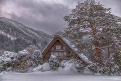 日本の雪景色