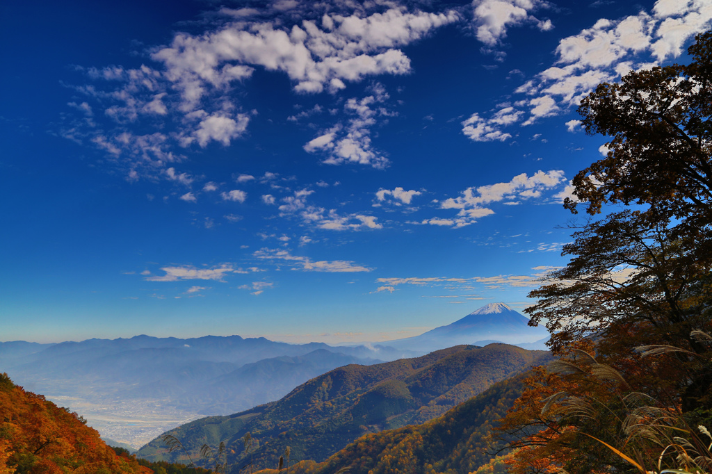 秋空と紅葉と富士①