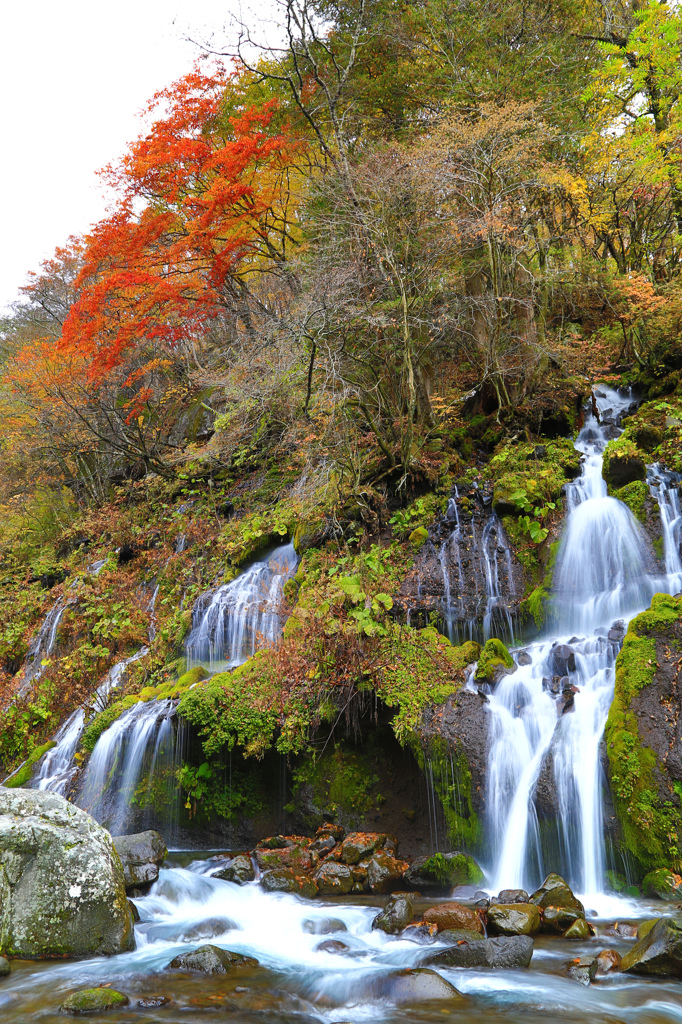 吐竜の滝（秋編）