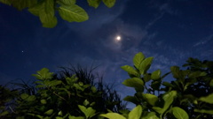 西表の夜